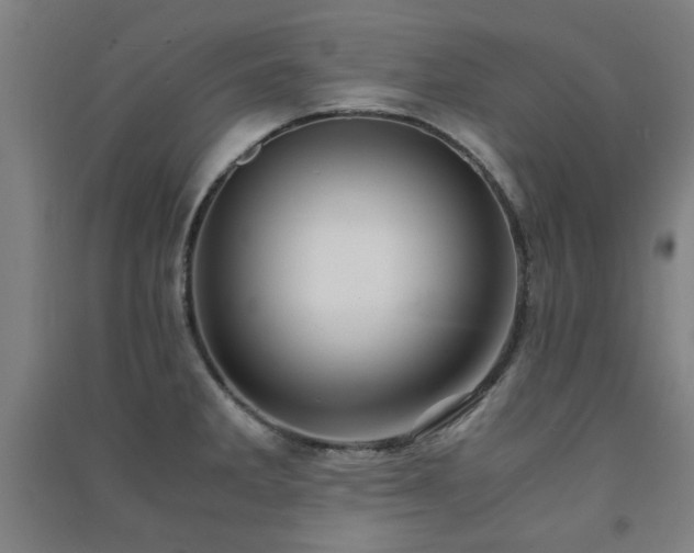 X0000091481285200708161411