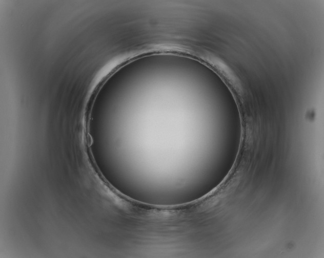 X0000091481286200708161411