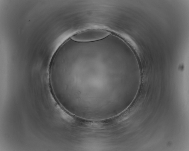 X0000091481287200708161411