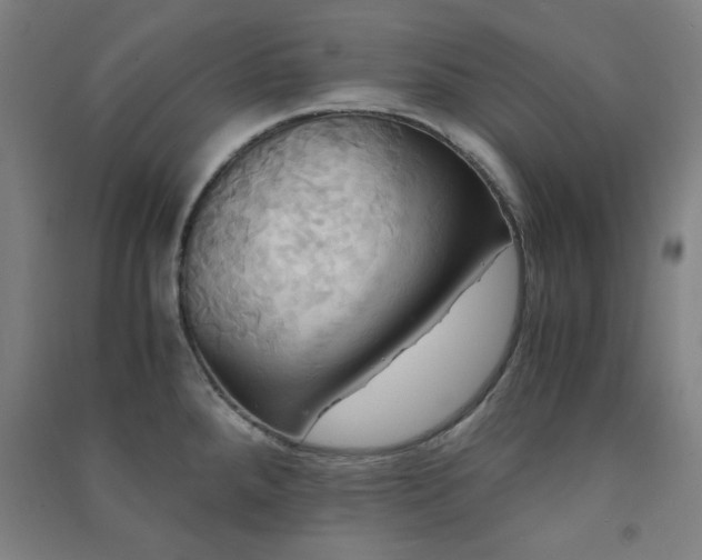 X0000091481288200708161411