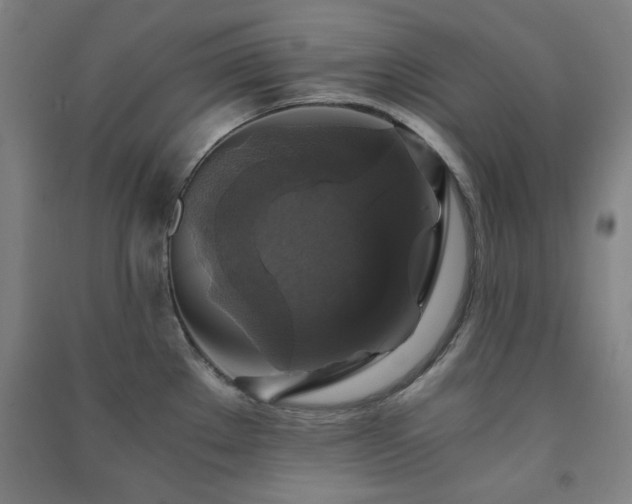 X0000091481289200708161411