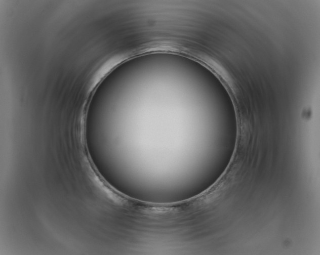 X0000091481290200708161411