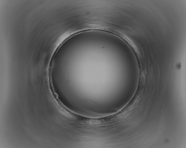X0000091481291200708161411