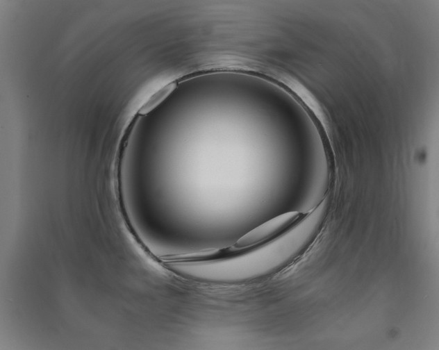 X0000091481293200708161411