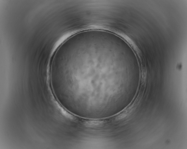 X0000091481294200708161411