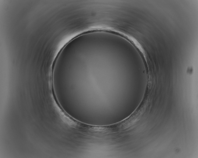 X0000091481295200708161411