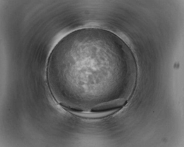 X0000091481296200708161411