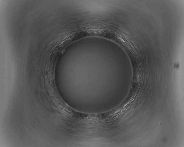 X0000091481297200708161411