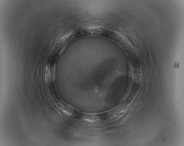 X0000091481298200708161411