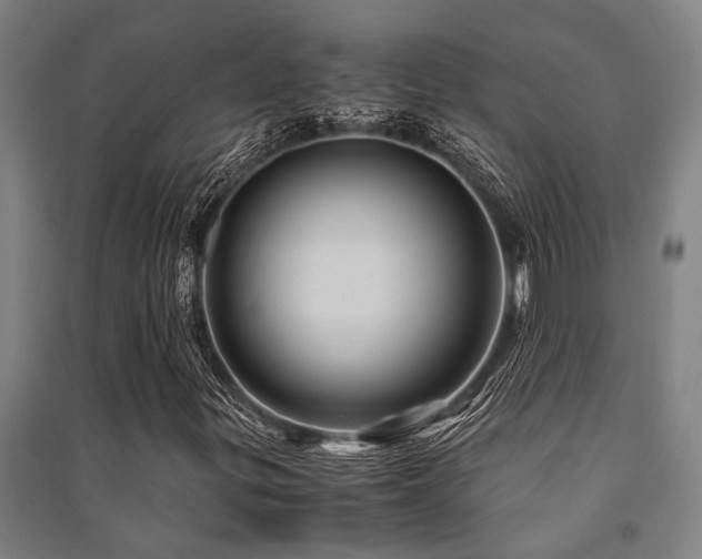 X0000091481299200708161411