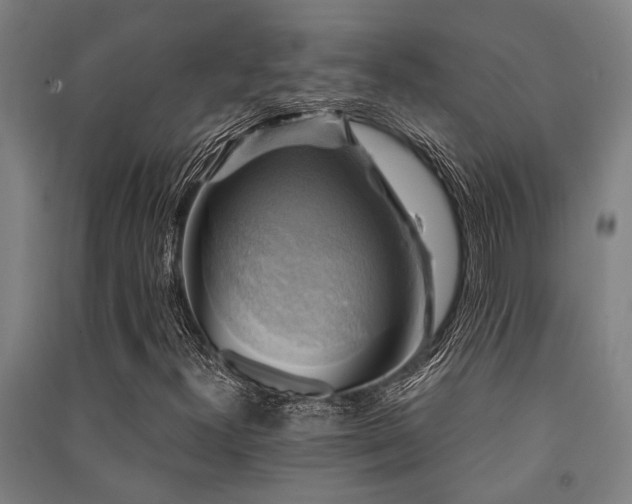 X0000091481300200708161411