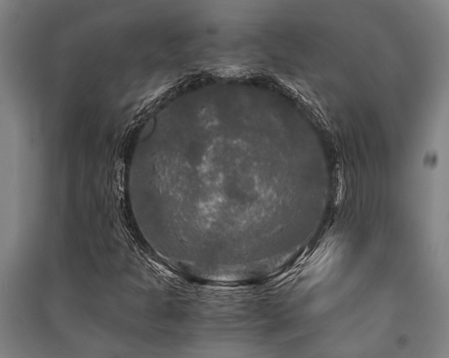X0000091481301200708161411