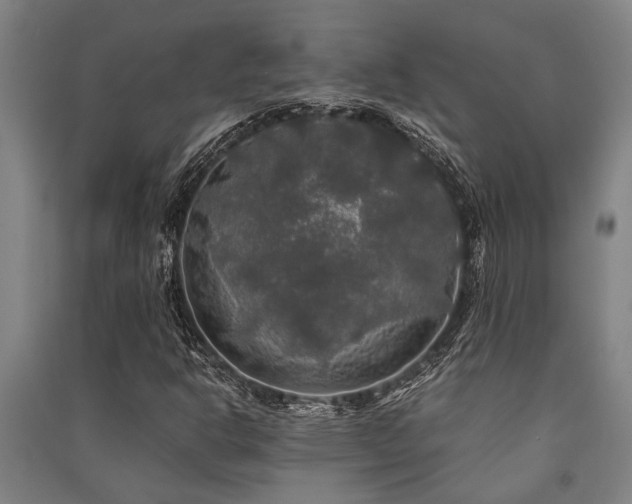 X0000091481302200708161411