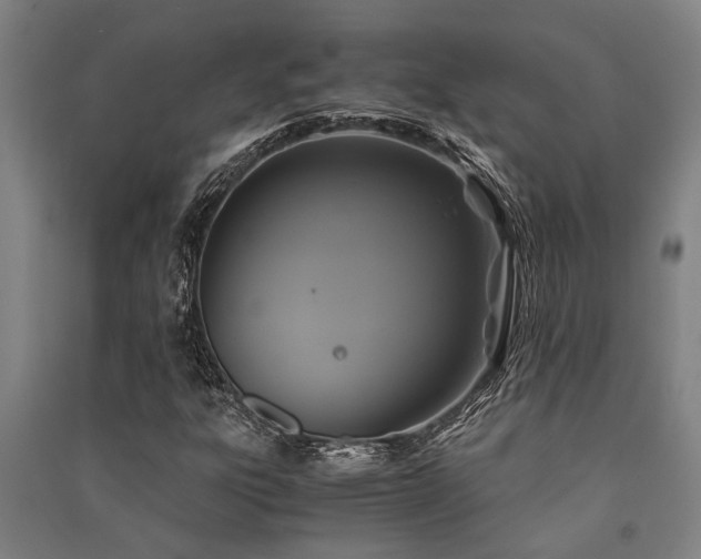 X0000091481303200708161411