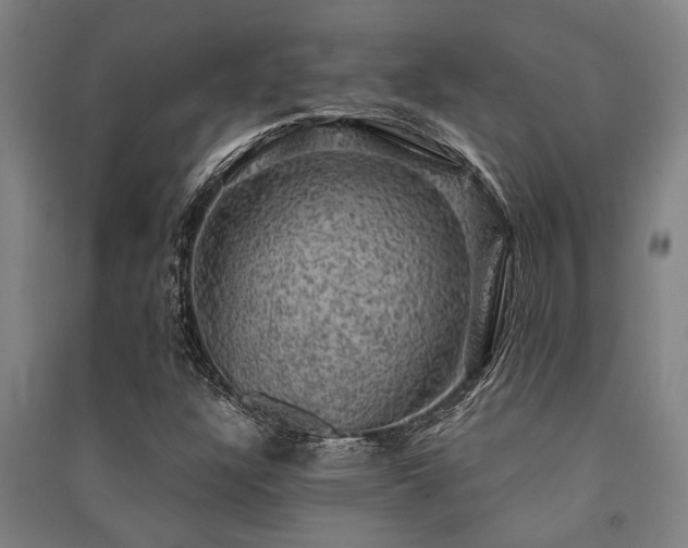 X0000091481304200708161411