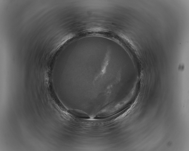 X0000091481305200708161411