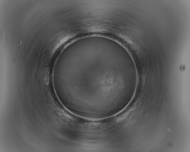 X0000091481306200708161411