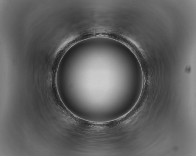X0000091481309200708161411