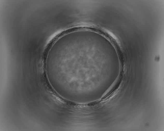 X0000091481310200708161411