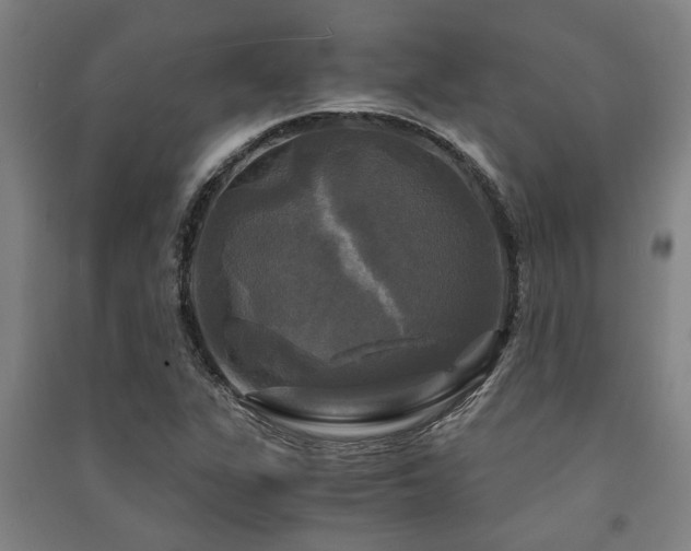X0000091481311200708161411