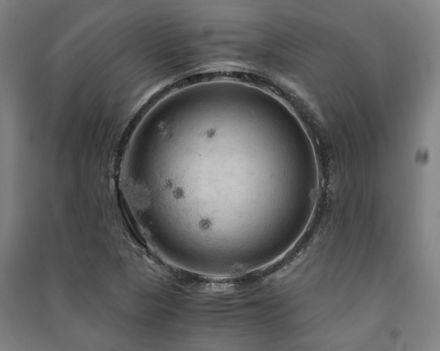 X0000091481313200708161411