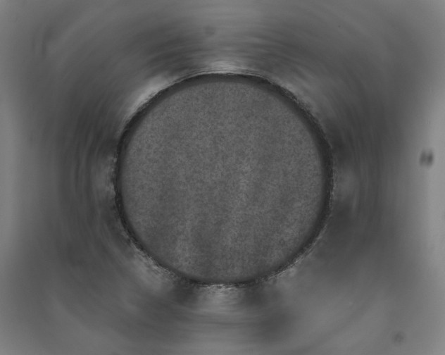 X0000091481314200708161411