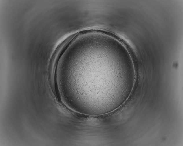 X0000091481316200708161411