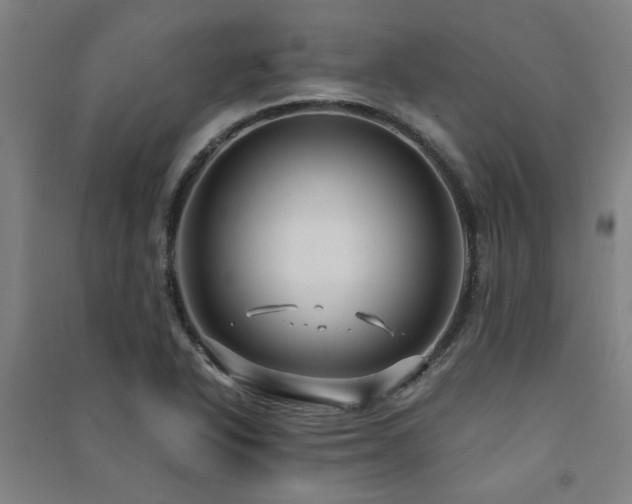 X0000091481318200708161411