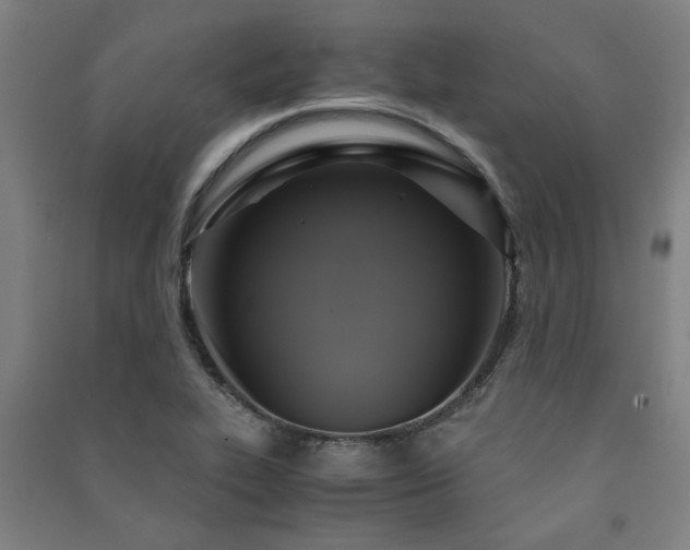 X0000091481319200708161411