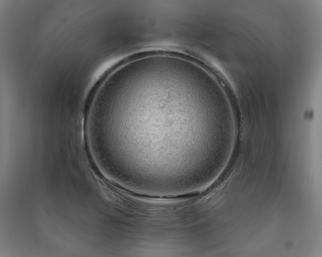 X0000091481320200708161411