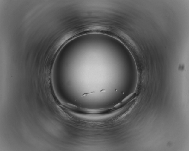 X0000091481321200708161411
