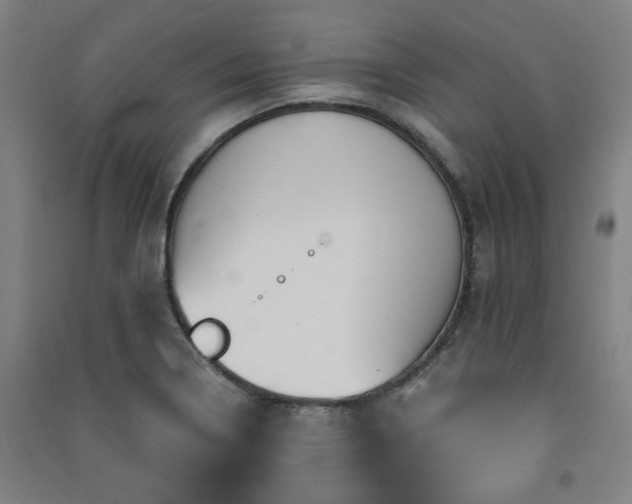 X0000091481322200708161411