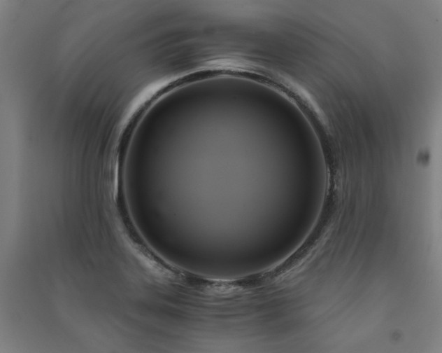 X0000091481323200708161411
