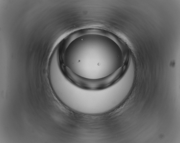 X0000091481324200708161411