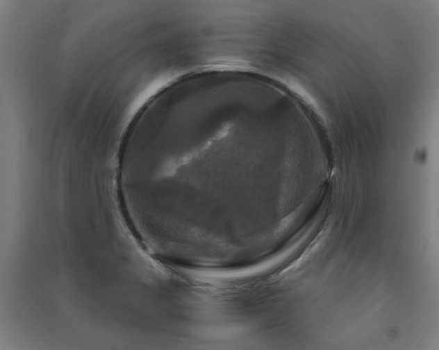 X0000091481325200708161411