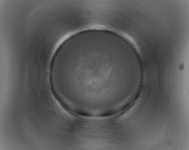 X0000091481326200708161411