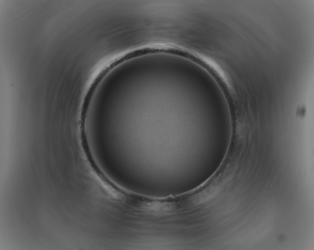 X0000091481327200708161411