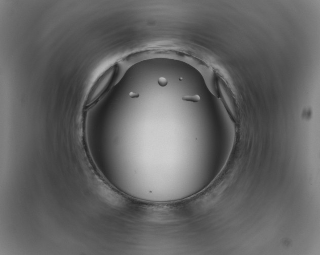 X0000091481328200708161411