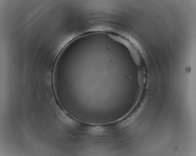 X0000091481329200708161411