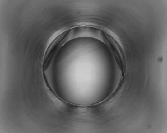 X0000091481330200708161411