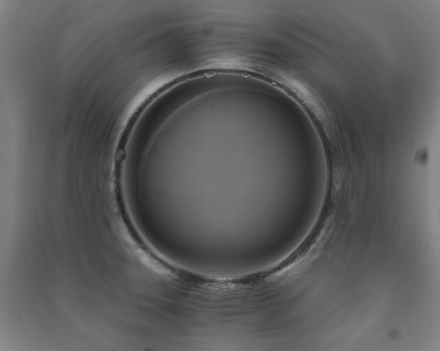 X0000091481331200708161411