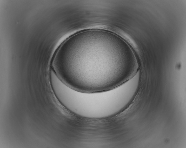 X0000091481332200708161411