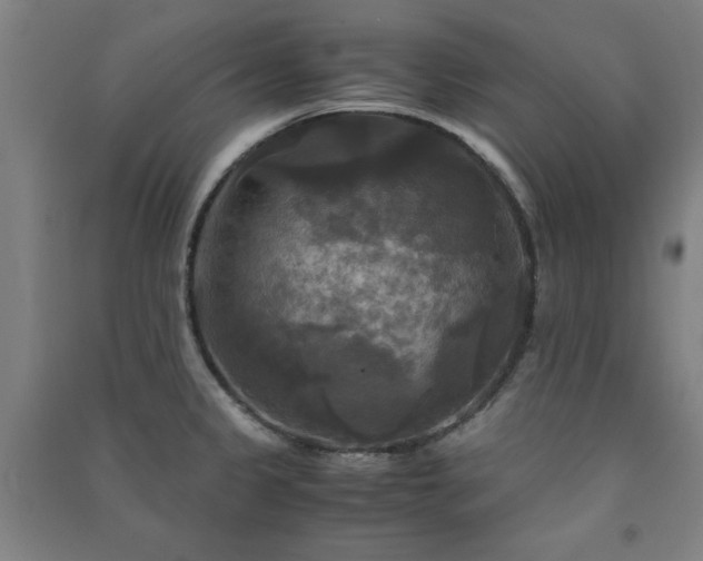 X0000091481333200708161411