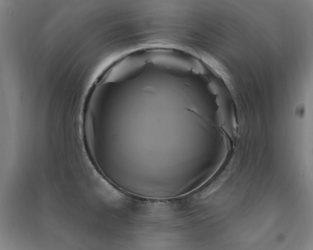 X0000091481334200708161411