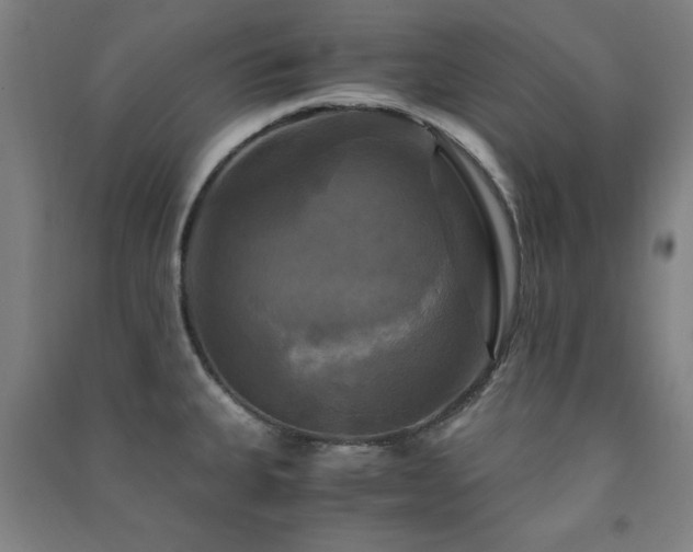 X0000091481335200708161411