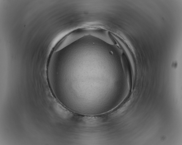 X0000091481336200708161411