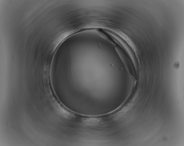 X0000091481337200708161411