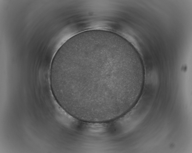 X0000091481338200708161411