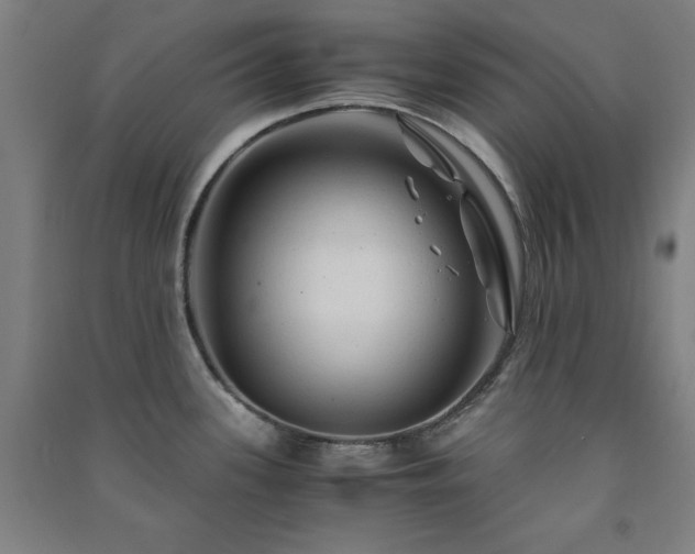 X0000091481339200708161411