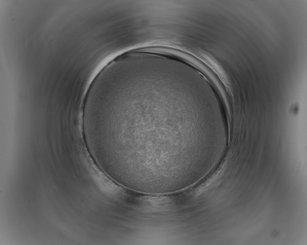 X0000091481340200708161411